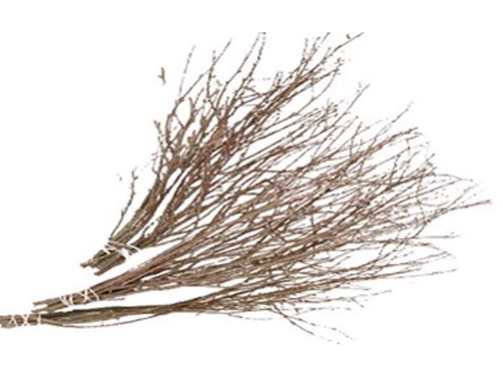 Fastelavnsris længde 50-60cm 20stk